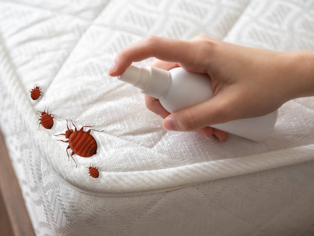 Best Pest Removal Services  in Gardnerville Ranchos, NV